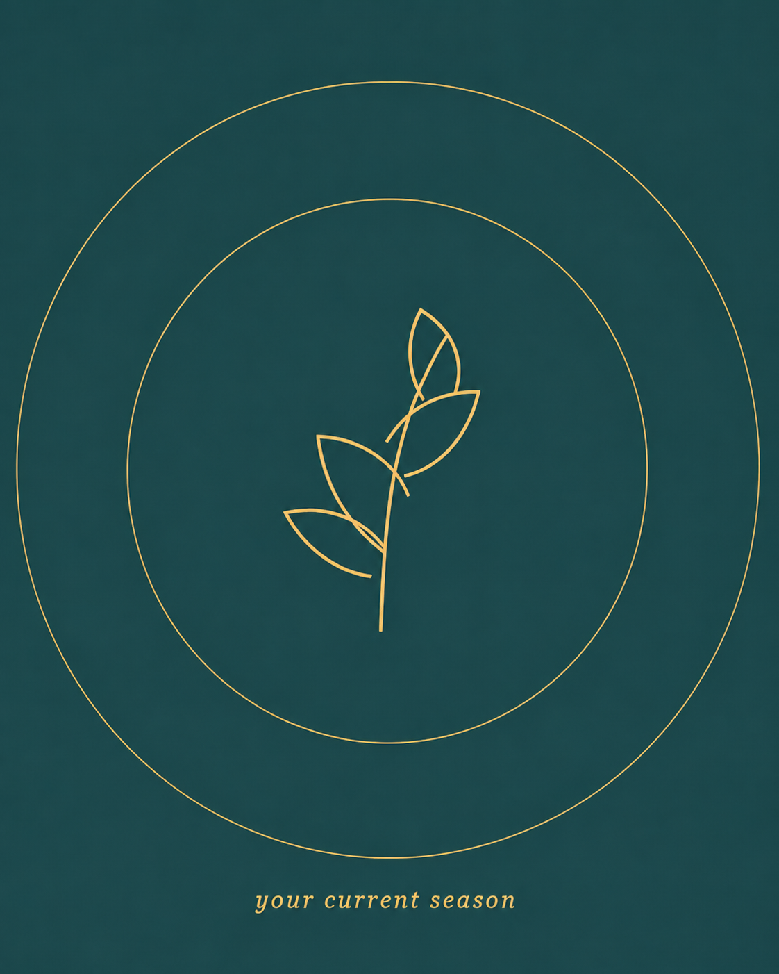Discover Your Garden, your current season
